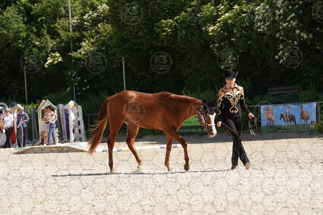 sA9K07883.JPG
